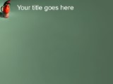 Presentationpro.com Powerpoint Products and Services
